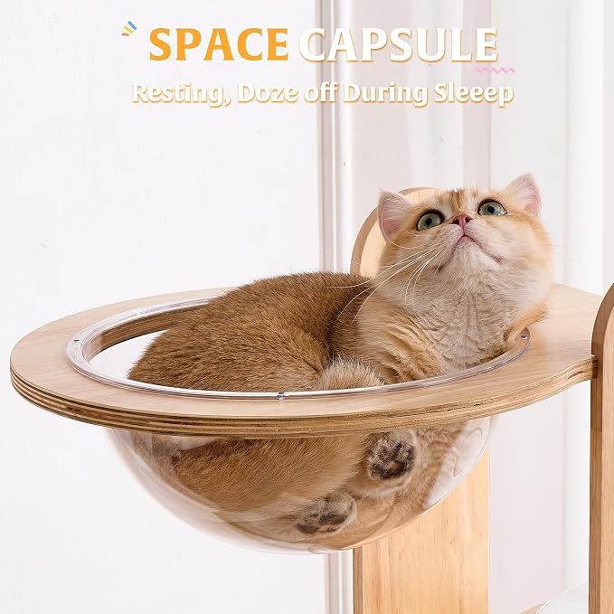 HITTITE Solid Wood Cat Tree Tower with Scratching Post, 64 Inches Tall Cat Towers with Scratching Board, Modern Cat Tower with Space Capsule and Removable Top Bed for Indoor Cats