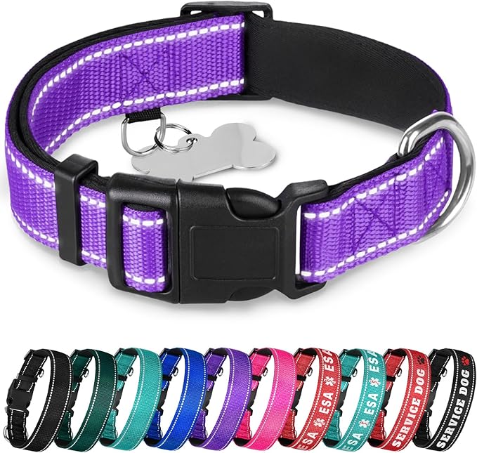 TECEUM Reflective Dog Collar – Purple – XXS – Extra Soft Padding – Basic Nylon Pet Collar – Quick Release Buckle – Fits Small, Medium and Large Dogs, Puppies, Cats – ESA & Service Dog Options