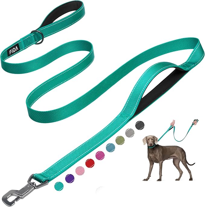 Fida 6 FT Heavy Duty Dog Leash with 2 Comfortable Padded Handles, Traffic Handle & Advanced Easy Snap Hook, Reflective Walking Lead for Large, Medium & Small Breed Dogs, Teal