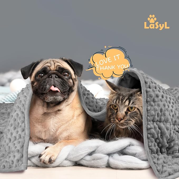 LaSyL Weighted Blanket for Pets | Thunder Blanket for Dogs Anxiety | Premium Soft Minky | Relaxation & Calming & Anti Anxiety | Used in Car, Bed, Couch | Dark Grey, Washable Small (24"x32")