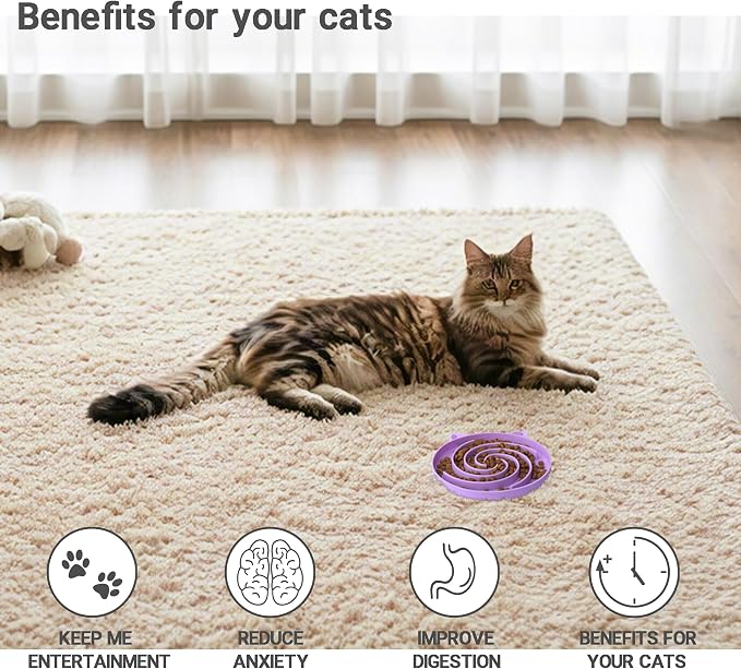 Bifeaw Slow Feeder Cat Bowl, Easy to Clean Silicone Bowl, Ideal for Dry and Wet Food (Purple and Pink)