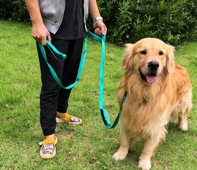 3 Handle Dog Leash, 10FT Triple Handle Dog Leash Heavy Duty with Reflective Stitching, Padded Traffic Handles for Training, Control & Safety -Turquoise