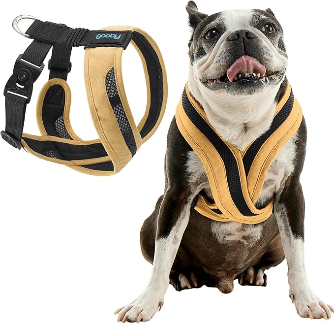 Gooby Comfort X One Dog Harness - Head-in Dog Harness for Small & Medium Sized Dogs - Escape-Free & Choke Free - Breathable Mesh, Shock Absorbing, Easy Snap & Swivel Buckles - Miami Yellow, Medium