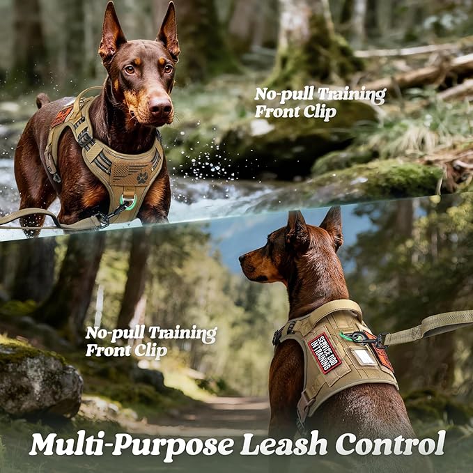 rabbitgoo Dog Harness for Large Dogs No Pull, Tactical Service Pet Vest with Molle and Control Handle, Adjustable and Reflective Military Harness for Easy Walking and Training, Brown, L