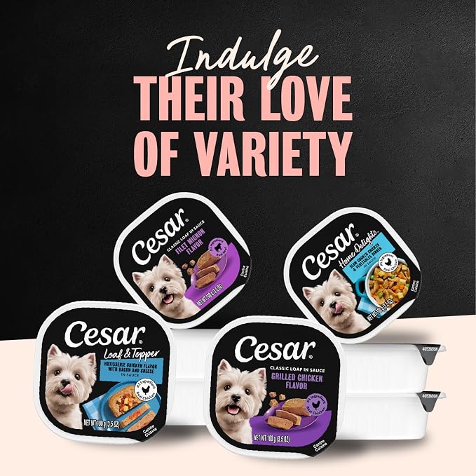 Cesar Wet Dog Food Steak and Chicken Lovers Variety Pack with Real Beef or Real Chicken, 3.5 oz. Easy Peel Trays, 36 Count (Pack of 1)