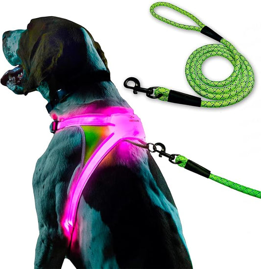 Noxgear LightHound (X-Large) + High-Visibility Dog Leash – Illuminated and Reflective Harness for Dogs Including Multicolored LED Fiber Optics (USB Rechargeable, Adjustable, Lightweight, Rainproof)