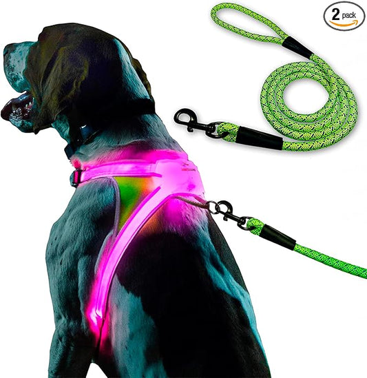 Noxgear LightHound (Medium) + High-Visibility Dog Leash – Illuminated and Reflective Harness for Dogs Including Multicolored LED Fiber Optics (USB Rechargeable, Adjustable, Lightweight, Rainproof)