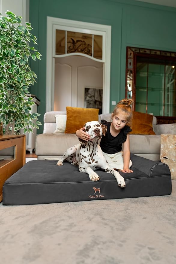 NOAH & PAW XL Dog Bed, 45x35x9.1 Inch, Orthopedic Large Dog Beds, Eggshell Memory Foam Infused with Cooling Gel, Water Resistant, Machine Washable, Includes Inner Cover (Faux Leather)