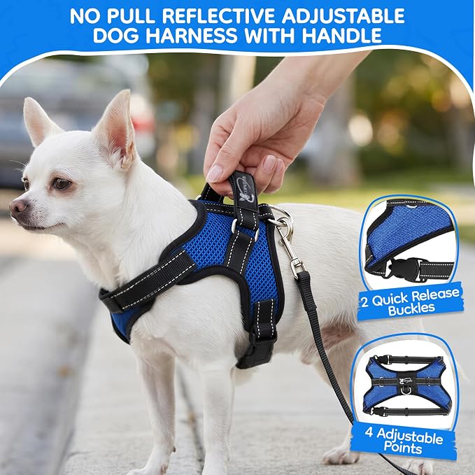 No Pull Reflective Adjustable Dog Harness With Handle- Comfortable Soft All Weather Mesh, Easy On Puppy Harness For Small Medium and Large Dogs (Blue) X-Small