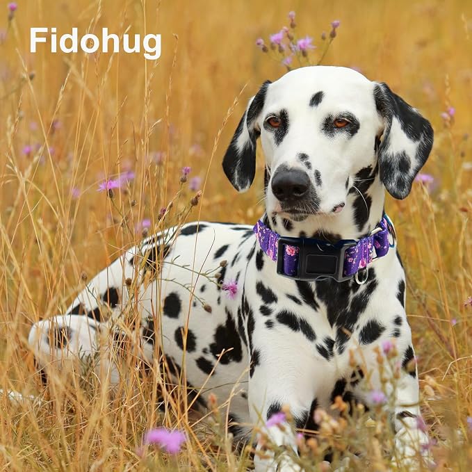 Martingale Collar for Dogs with Buckle Floral Dog Collar Girl Female Soft Nylon Dog Collars for Small Medium Large Dogs (Purple Flower, S)
