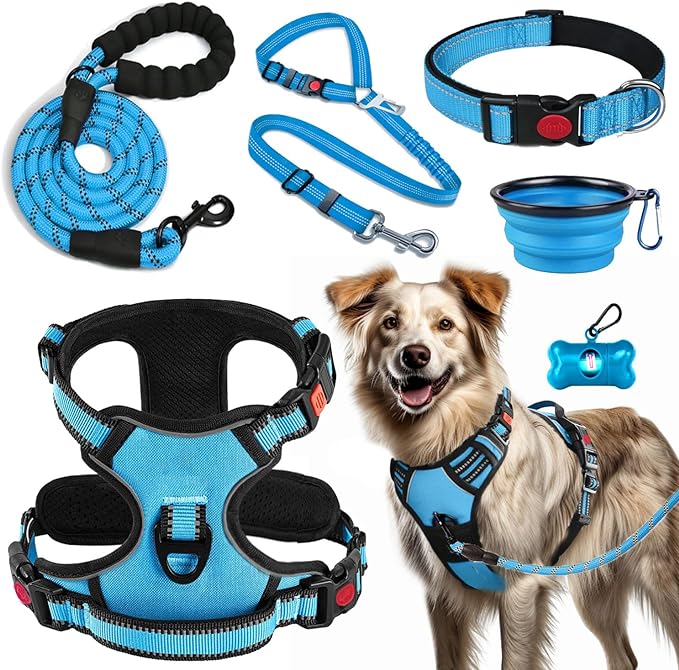 LOBEVE No Pull Dog Harness, Collar & Leash Set | Includes Dog Seat Belt, Collapsible Bowls & Poop Bag Dispenser. Ideal for Training, Walking, Hiking. Fits Small to Large Dogs(Blue-XL)