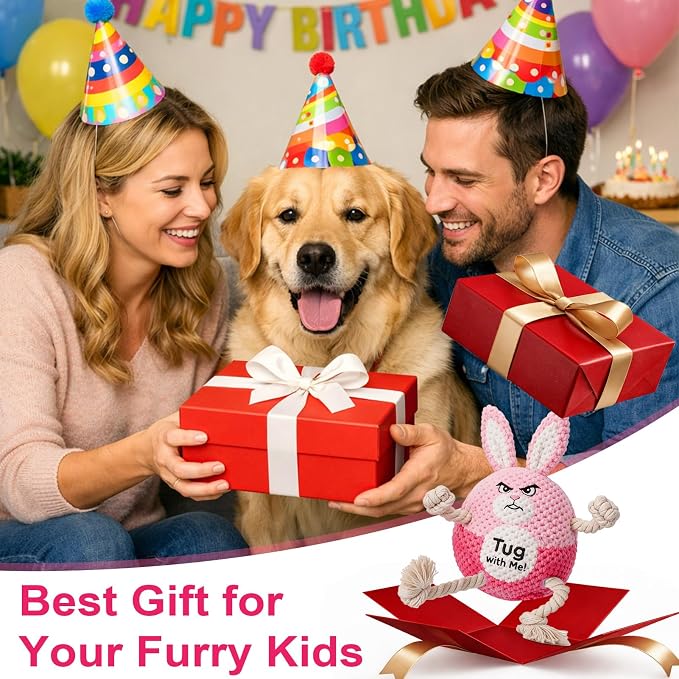 BABORUI Interactive Dog Toys, Easter Squeaky Dog Rope Toys with Recording and Music Modes, Dogs Tug Toy for Small/Medium/Large Dogs to Keep Them Busy (Pink Bunny)