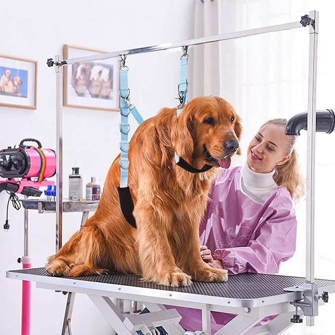 Dog Grooming Belly Strap - Dog Grooming Table Arm Extender with Clamp Extension Loop Bathing Restraint Leash No Sit Haunch Holder for Small & Medium Dogs Hair Cutting Washing (Blue)