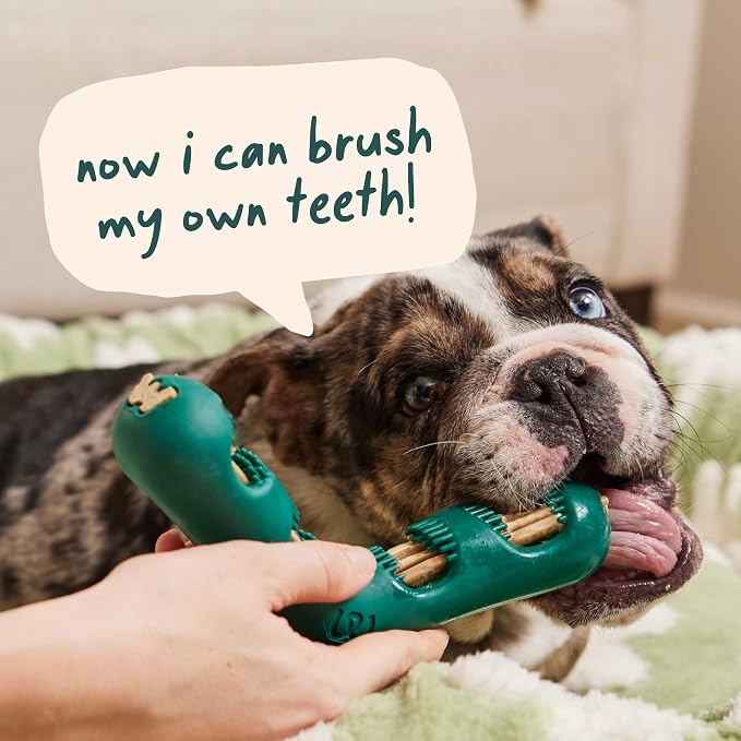 WOOF The Bite n' Brush - Dog Toothbrush Toy - Scrub Plaque and Tartar from Your Dog's Teeth and Mouth - Dog Dental Chew Toy - Large