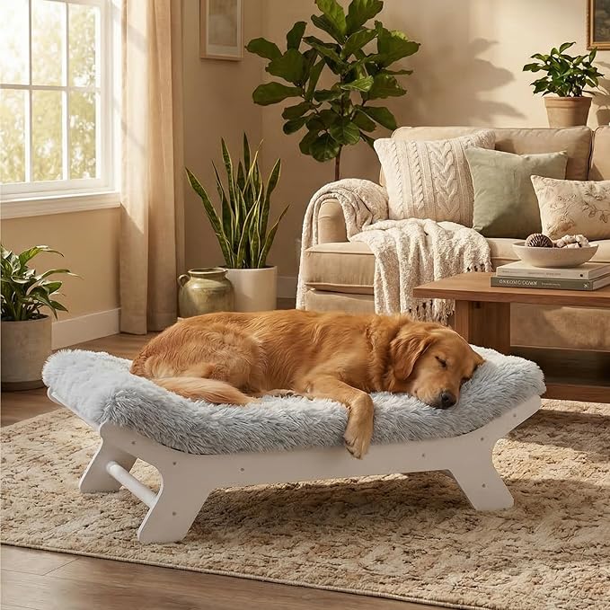 Muihood Wood Elevated Dog Bed Frame and Egg Crate Foam Mattress, Luxurious Suitable for Pets Up to 110 lbs, White, XL
