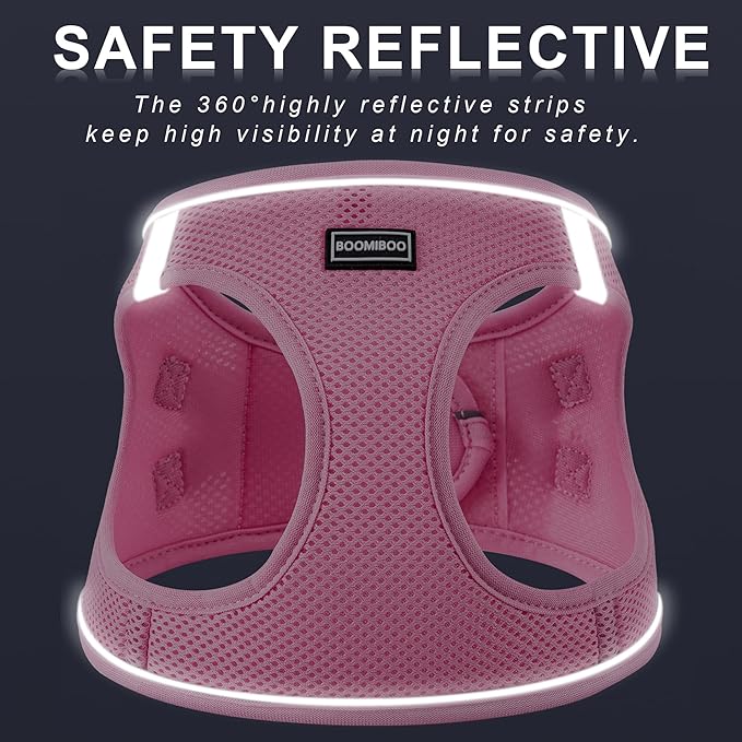 Dog Harness with Leash Set, No Pull Adjustable Reflective Step-in Puppy Pet Vest Harnesses for Small Medium Large Dogs and Cats,Purple XXS