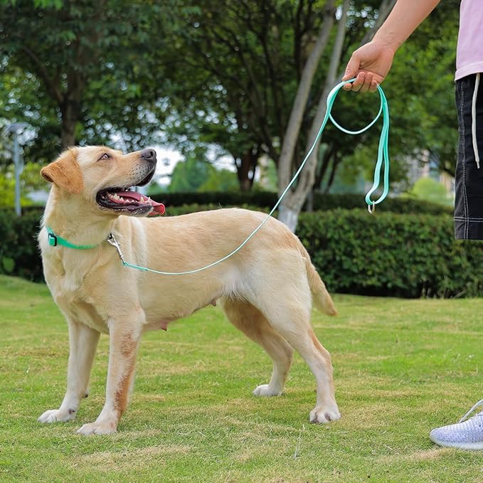 Waterproof Dog Leash, 5/6 FT Durable Odor-Proof Dog Leashes with Strong Metal Hooks Fits Small Medium or Large Dogs (Mint Green, 6FT - 1 inch Width)