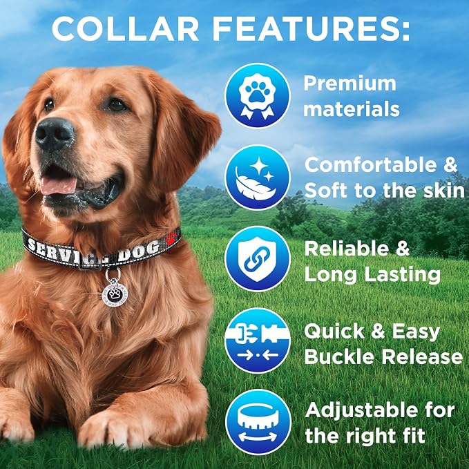 TECEUM Reflective Pet Collar – Black - Service Dog – L – Extra Soft Padding – Basic Nylon Dog Collar – Quick Release Buckle – Fits Small, Medium and Large Dogs, Puppies, Cats