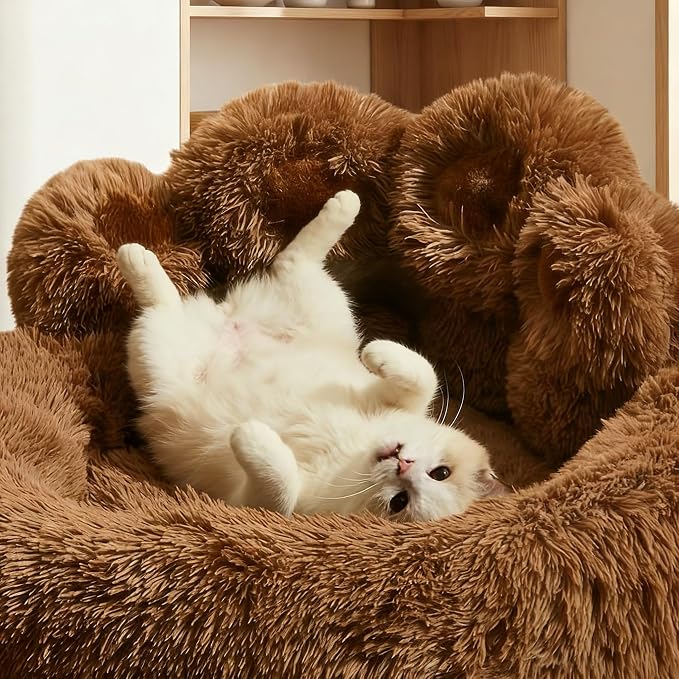Cat Paw Shaped Cat Bed, Long Plush Calming Cat Bed for Indoor Cats, Washable Pet Bed with Anti-Slip Bottom, Soft Cozy Bed for Small Medium Large Cats & Dogs (Brown, Medium)