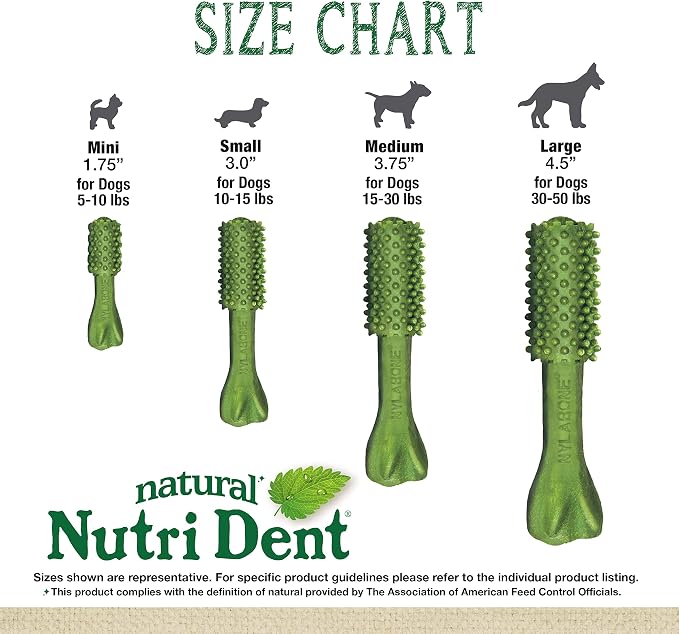 Nylabone Nutri Dent Dog Dental Chews - Natural Dog Teeth Cleaning & Breath Freshener - Dental Treats for Dogs - Fresh Breath Flavor, Small (64 Count)