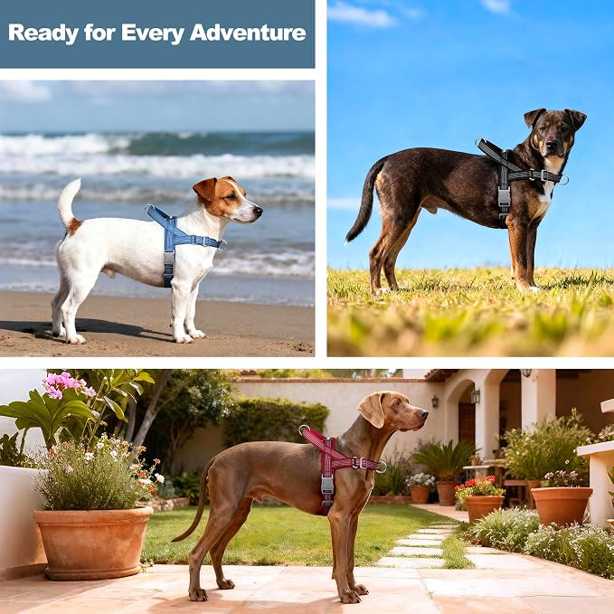 No Pull Dog Harness with Handle, Adjustable Mesh Padded Reflective Walking Harness with Front Clip for Small Medium Large Dogs – Quick Fit No Escape for Training and Hiking (Chocolate, XS)