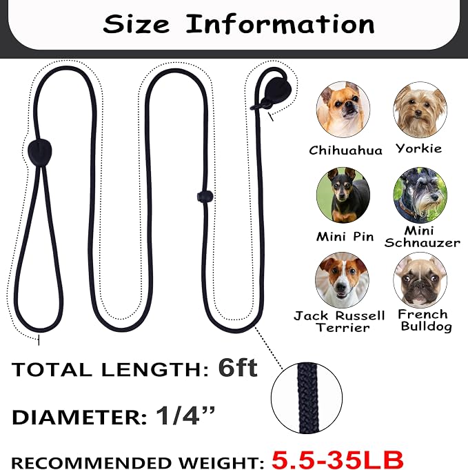 6FT Heavy Duty Slip Lead - No Pull Dog Training Leash, Comfortable & Lightweight, Suitable for Small to Medium Dogs (Black)