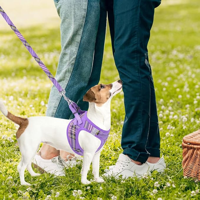 PUPTECK Adjustable Dog Harness Collar and Leash Set Step in No Pull Pet Harness for Small Medium Dogs Puppy and Cats Outdoor Walking Running, Soft Mesh Padded Reflective Vest Harnesses, Purple L