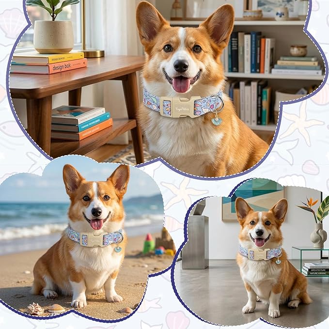 Cute Ocean Themed Dog Collar, Cotton Adjustable Pet Collar with Seashell Charm, Dolphin & Fish Print for Small Medium Large Dogs, Summer Beach Puppy Collar for Girl & Boy Dogs-XS