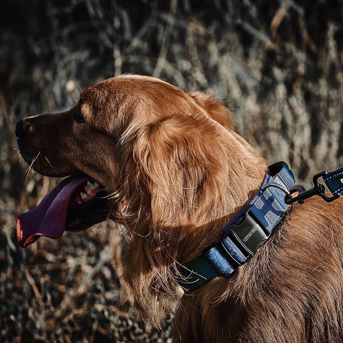 OneTigris Tough Dog Collars, Tactical Dog Collar with Handle, Milltary Adjustable Dog Collar with Heavy Duty Metal Buckle for Training (Medium,Blue)
