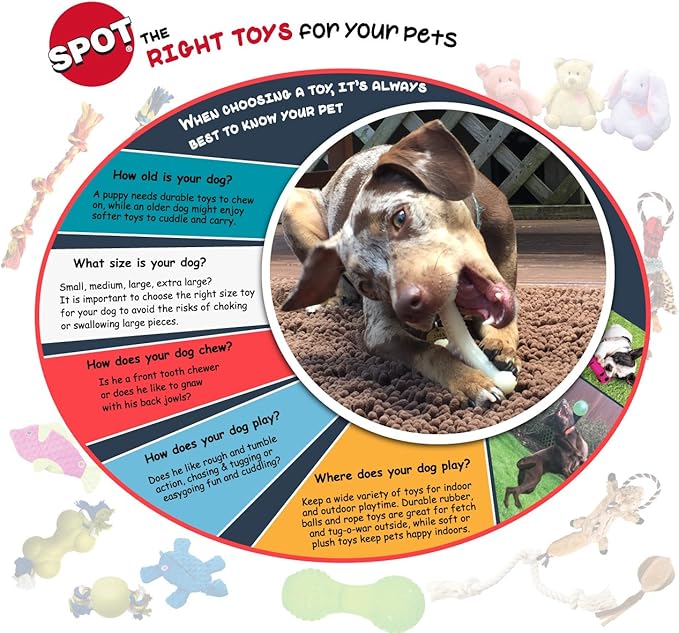 SPOT Bam-Bones Bone - Made with Strong Bamboo Fiber, Durable Long Lasting Dog Chew for Light to Moderate Chewers, Great Toy for Adult Dogs & Teething Puppies under 25lbs, 5.75in, Chicken Flavor