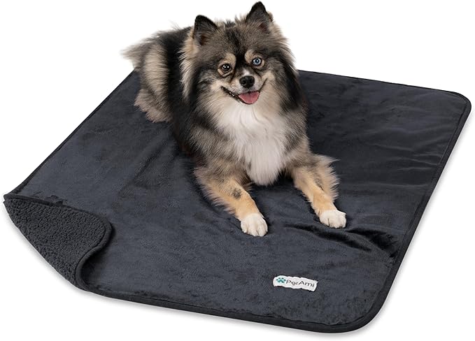PetAmi Premium Waterproof Dog Blanket for Small Medium Dogs, Reversible Sherpa & Flannel Fleece, Leakproof Pet Throw for Couch Protection, Soft Plush Furniture Protector for Cats, Washable, 29x40 Grey