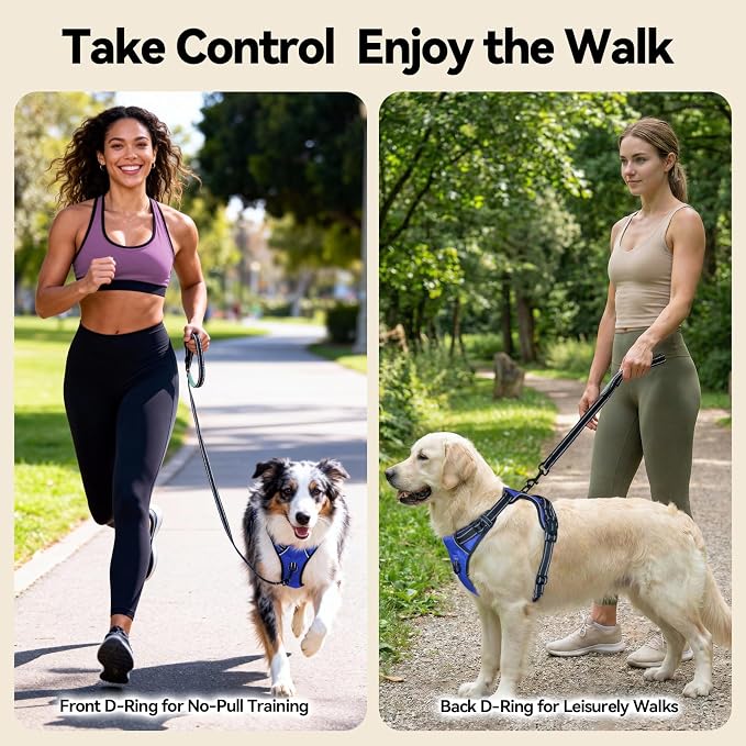 PHOEPET No Pull Dog Harnesses for Small Puppies Reflective Adjustable Front Clip Vest with 2 Metal Leash Attachment Hooks Soft Handle [Over The Head Design](L, Royal Blue)