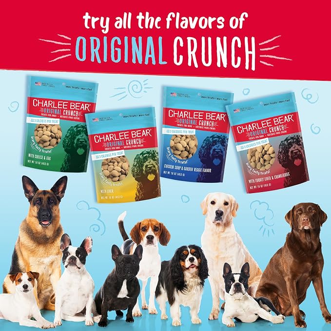 Charlee Bear Dog Training Treats, Chicken Soup & Garden Veggie Recipe, Low Calorie (Under 3 Calories), Limited Ingredient Crunchy Dog Treats, 16 oz. Resealable Bag