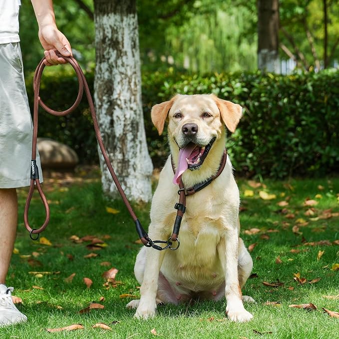 Rope Dog Leash, 4 ft Heavy Duty Dog Leash with Aviation Aluminum Auto Locking Carabiner, Strong Nylon Pet Lead for Small, Medium, Large Dogs (Yellow, 4FT)