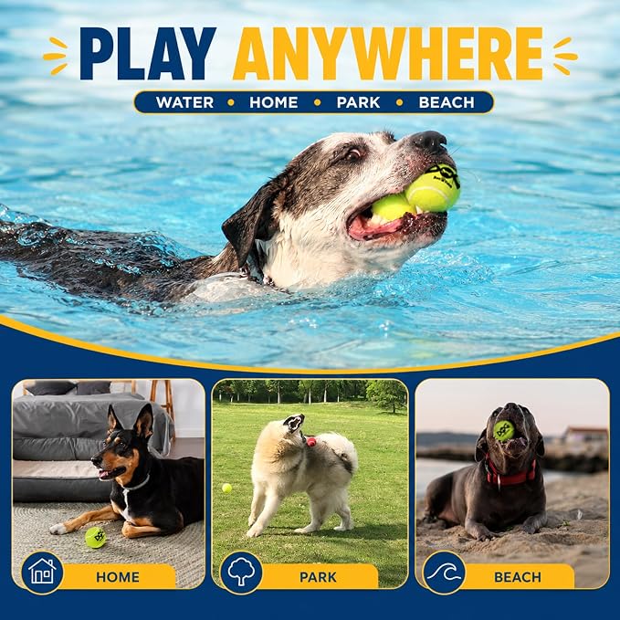 INSUM Squeaky Tennis Balls for Dogs - Bulk 50 Pack 2.5'' Durable Non-Toxic Outdoor Dog Toys Balls with Mesh Bag, SGS Certified, Colorful Fetch Toys, Medium Large Breeds