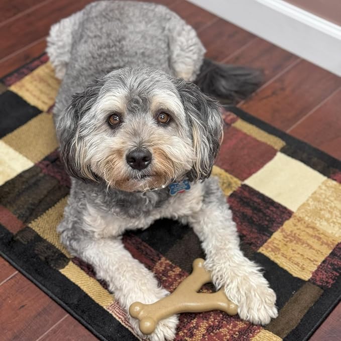 SPOT Bam-Bones Wishbone Dog Chew Toy, Bamboo Fiber Blend, Non-Splintering Durable Chew for Light to Moderate Chewers, Adult Dogs & Teething Puppies 25–50 lbs, Chicken Flavor, 7 in