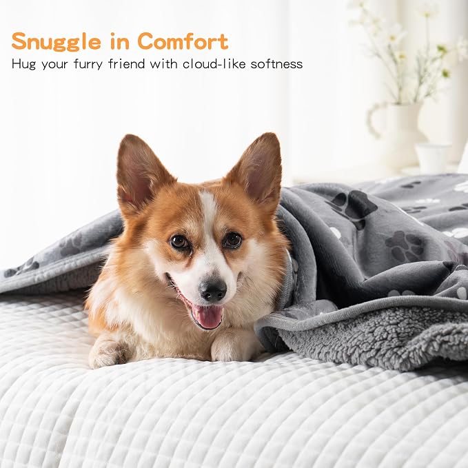 Waterproof Dog Blankets Pet Blanket, 30"x40" Cat Blanket for Indoor Cats, Soft Fluffy Sofa Car Bed Protector, Reversible Sherpa Fleece Puppy Blanket for Small Medium Dogs(Dark Grey-Paws)