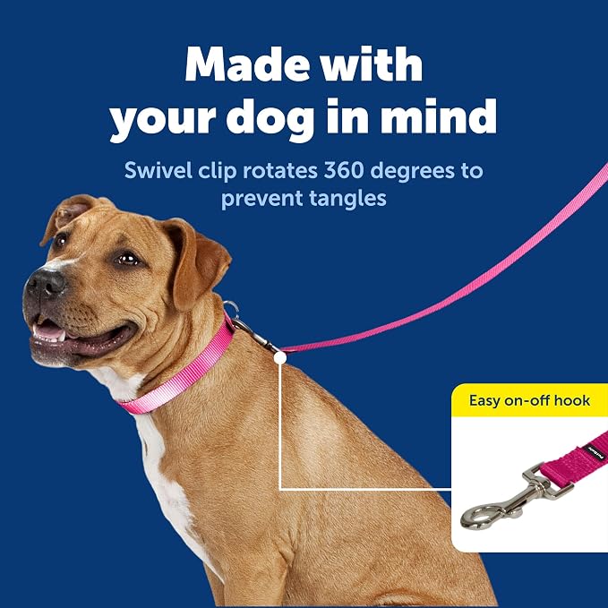 PetSafe Nylon Dog Leash Strong, Durable, Traditional Style Lead with Easy to Use Bolt Snap for Small, Medium and Large Dogs 3/4" x 6', Deep Purple