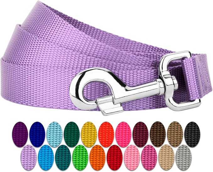 Country Brook Petz - Everyday Nylon Dog Leash - Strong, Durable, Solid Color Leash with Easy to Use Snap - 25+ Colors (1 Inch Wide, 6 Foot, Lavender)