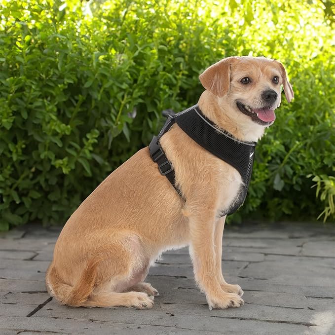 Best Pet Supplies Voyager Aerolite Over the Head Dog Harness, No Pull Breathable Air Mesh Vest, Quick Dry with Reflective Stitching, Adjustable Escape Resistant Harness - Black, X-Small