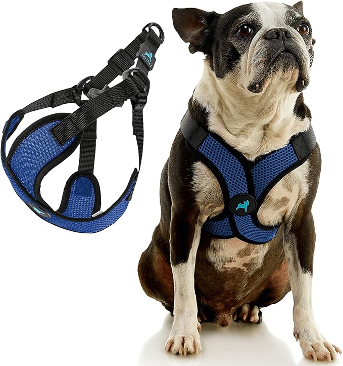 Gooby Comfort X Step in Lite Dog Harness - Choke Free, Escape Free with Light Breathable Mesh - Step in Dog Harness for Small Dogs Only - Quick Release Buckle, Metal D-Rings - Blue, X-Small