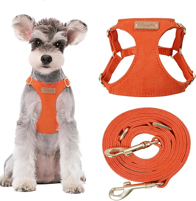 Puppytie Small Dog Harness with Multifunction Dog Leash,Lightweight Soft Adjustable No Choke Escape Proof Pet Harness Vest Pet Harness Vest,Orange,S