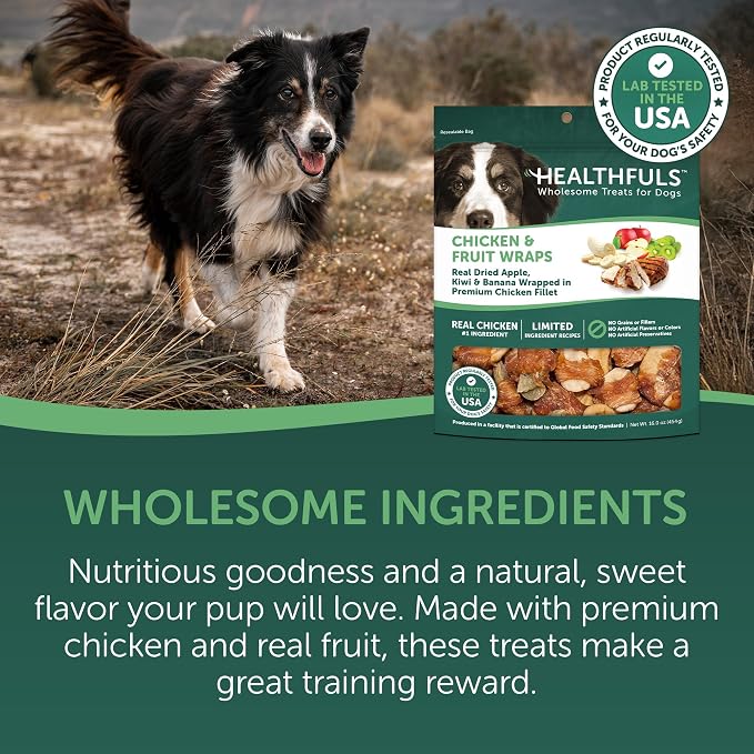 Healthfuls Chicken Wrapped Fruit Dog Treats, 16oz