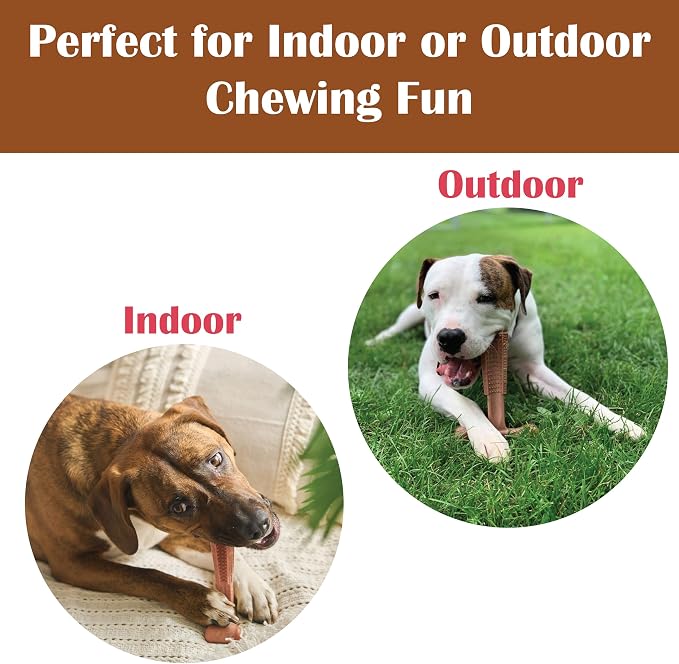 SPOT Bam-Bones Plus T Bone - Bamboo Fiber & Nylon Dog Chew Toy for Moderate to Aggressive Chewers, Non-Splintering, Long-Lasting, 7in Beef Flavor, for Adult Dogs & Teething Puppies Under 90lbs
