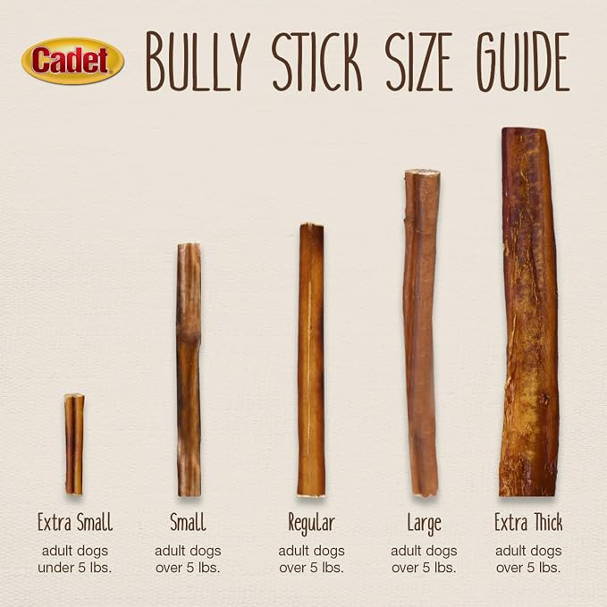 Cadet Bully Sticks for Small Dogs, All-Natural Beef Pizzle, Long-Lasting Rawhide Free Dog Treats for Aggressive Chewers, 4 Count