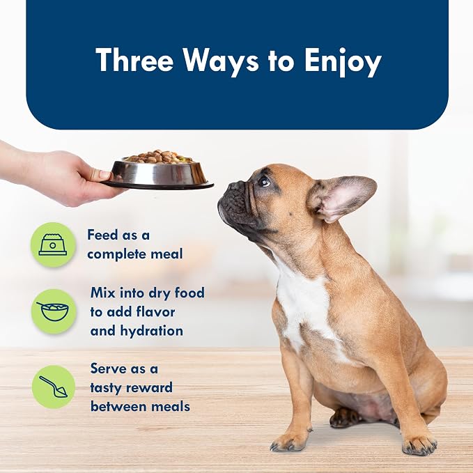 Blue Buffalo Delights Small Breed Natural Wet Dog Food, Filet Mignon Flavor in Gravy, 3.5-oz Cups, 12 Count