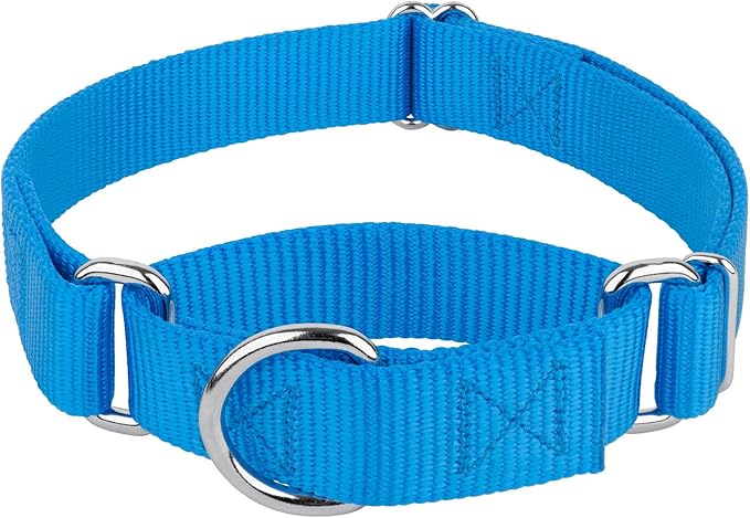 Country Brook Petz - Martingale Dog Collar - Heavy-Duty Training Collar with No Buckle - Service Dog Collar for All Pups - 20 Vibrant Colors (Ice Blue, 1 Inch, Medium)