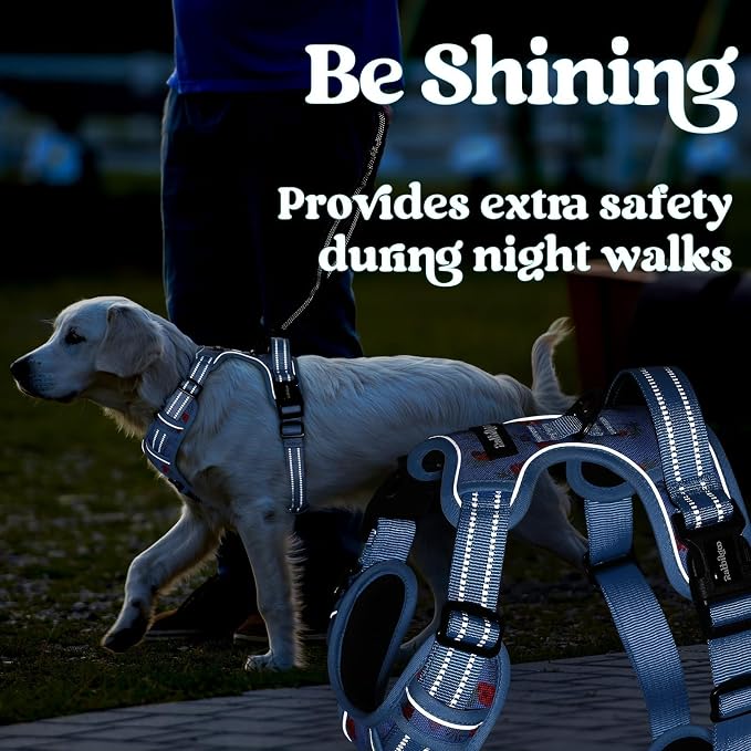 rabbitgoo Dog Harness for Large, No Pull Easy On & Off with 3 Buckles Pet Harness, Adjustable Soft Walking Vest with 2 Clips and Handle, Reflective for Large Dogs, Floral Blue, L