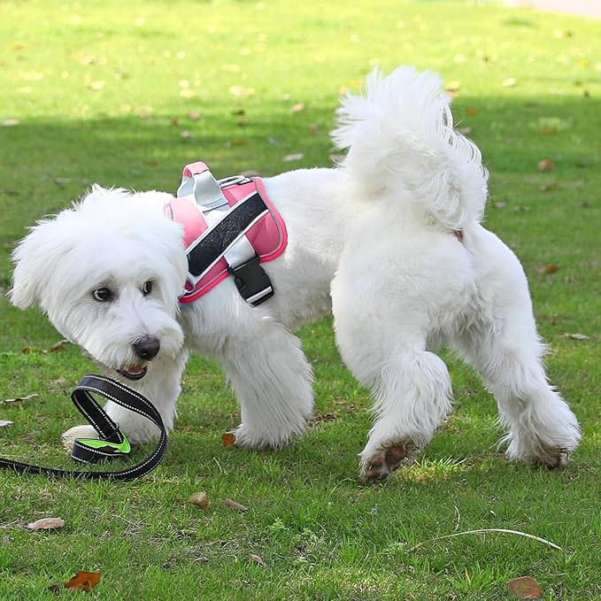 Dog Harness, No-Pull Reflective Dog Vest, Breathable Adjustable Pet Harness with Handle for Outdoor Walking - No More Pulling, Tugging or Choking (Fuchsia, X-Small (Pack of 1))