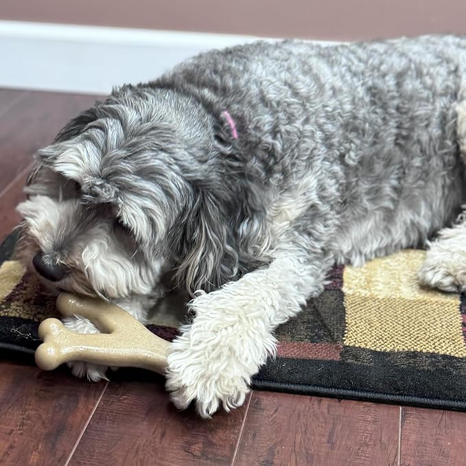 SPOT Bam-Bones Wishbone Dog Chew Toy, Bamboo Fiber Blend, Non-Splintering Durable Chew for Light to Moderate Chewers, Adult Dogs & Teething Puppies 25–50 lbs, Chicken Flavor, 7 in